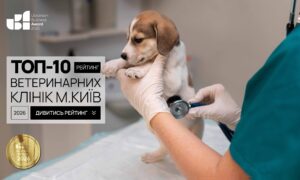 ТОП-10 ВЕТЕРИНАРНИХ КЛІНІК М.КИЇВ 2026